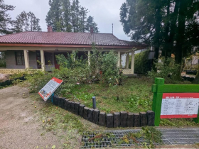 福壽山農場「蘋果王」駕崩了！半世紀「鎮場之寶」一棵樹能產43品種…小編預告：太子將原地登基